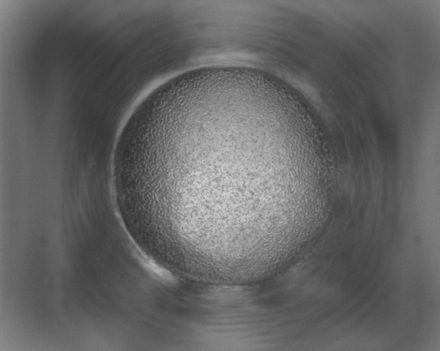 X0000071941470200607141420