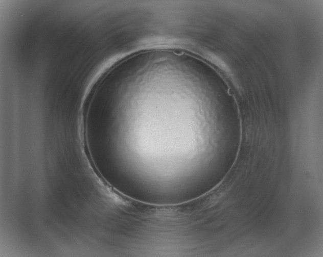 X0000071941472200607141420