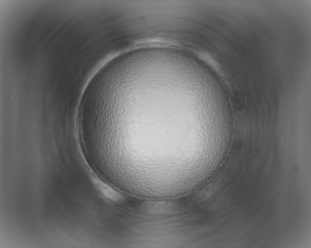 X0000071941474200607141420
