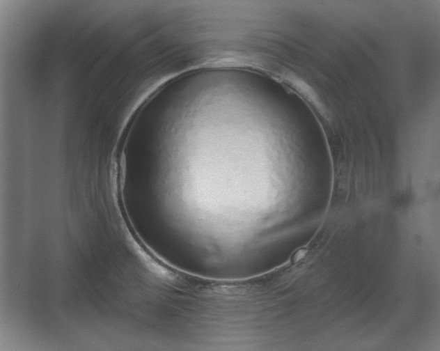 X0000071941476200607141420