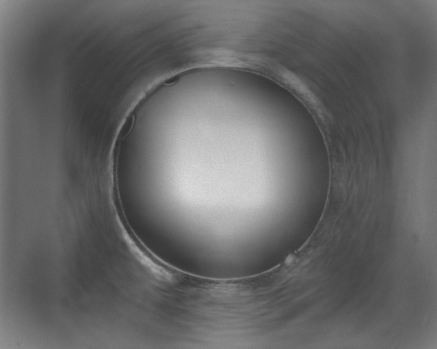 X0000071941479200607141420