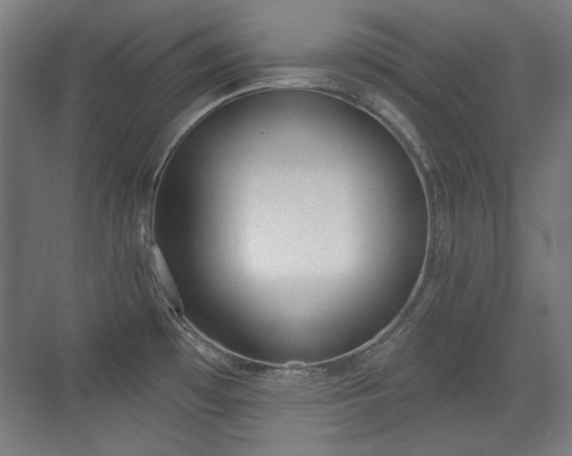 X0000071941481200607141420