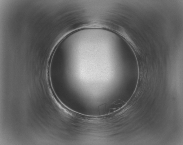 X0000071941484200607141420