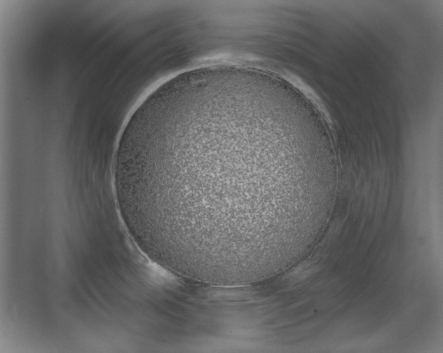 X0000071941486200607141420