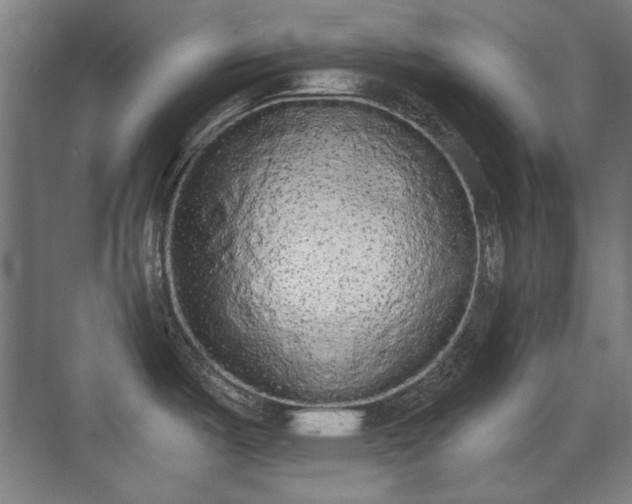 X0000071941487200607141420