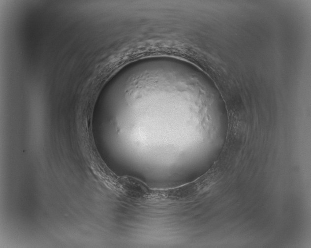 X0000071941489200607141419