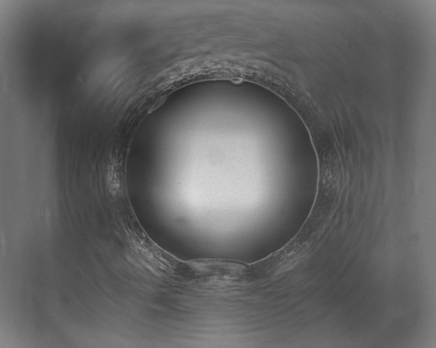 X0000071941490200607141419