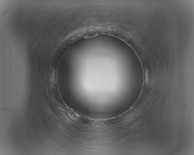 X0000071941492200607141419