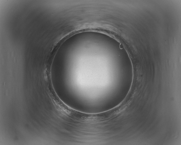 X0000071941497200607141419