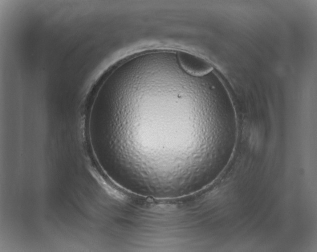 X0000071941503200607141419
