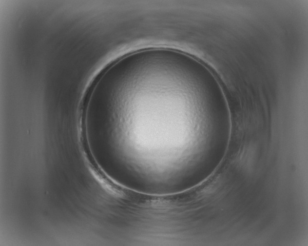 X0000071941511200607141419