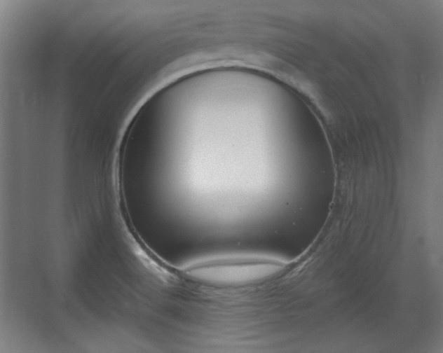 X0000071941516200607141420