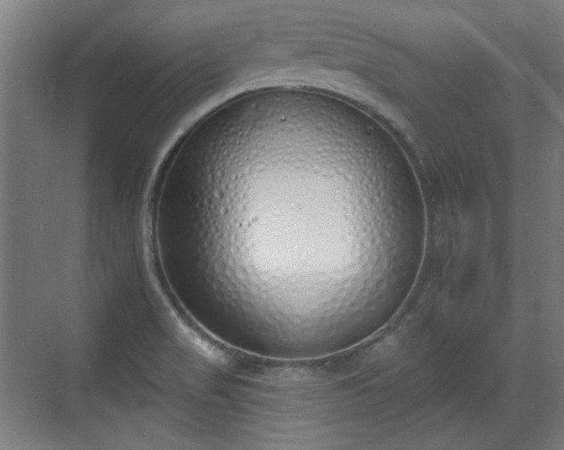 X0000071941517200607141420
