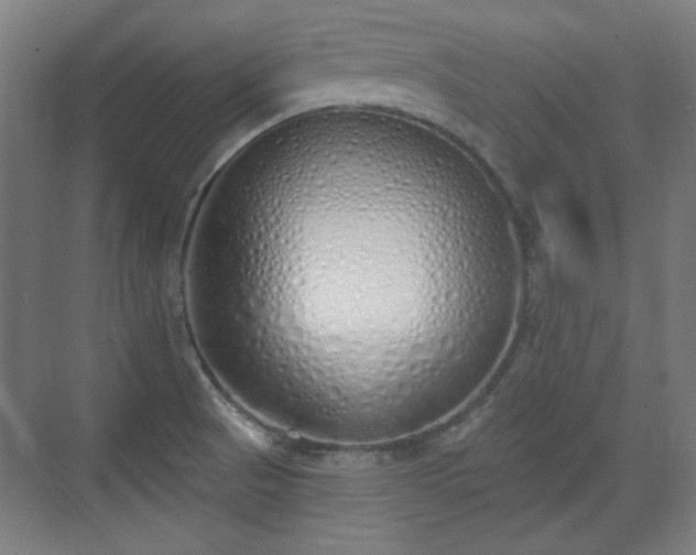 X0000071941521200607141420