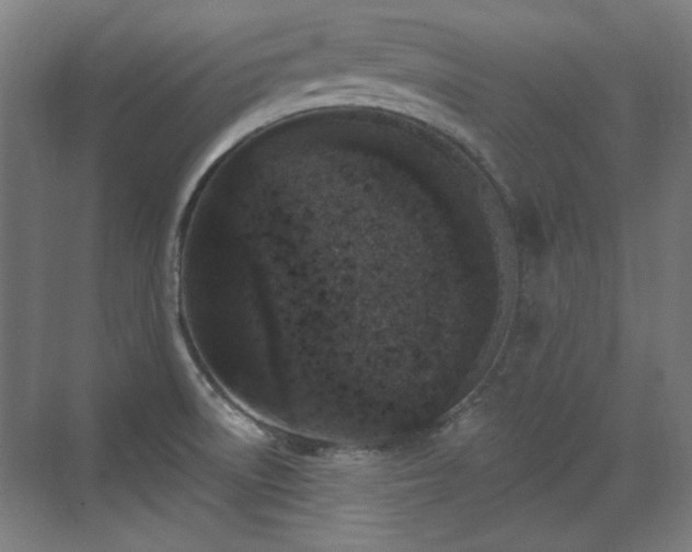 X0000071941522200607141420