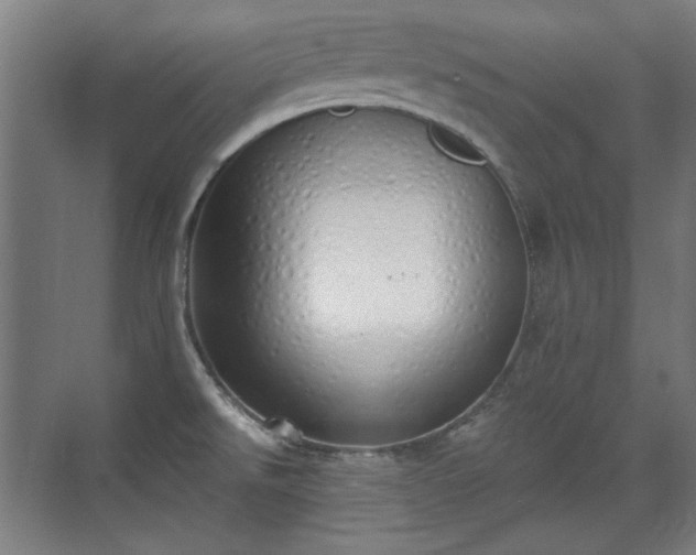 X0000071941526200607141420