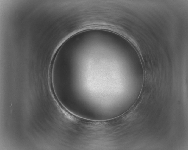 X0000071941533200607141420
