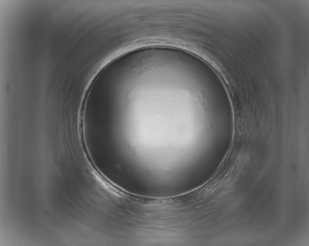 X0000071941535200607141420