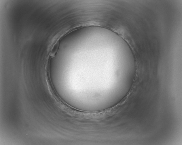 X0000071940001200607212212