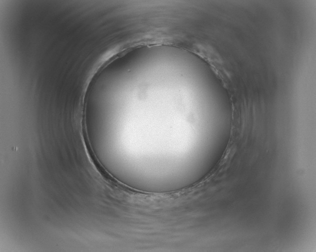 X0000071940003200607212212