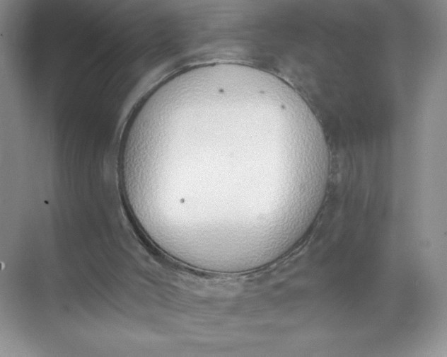 X0000071940004200607212212