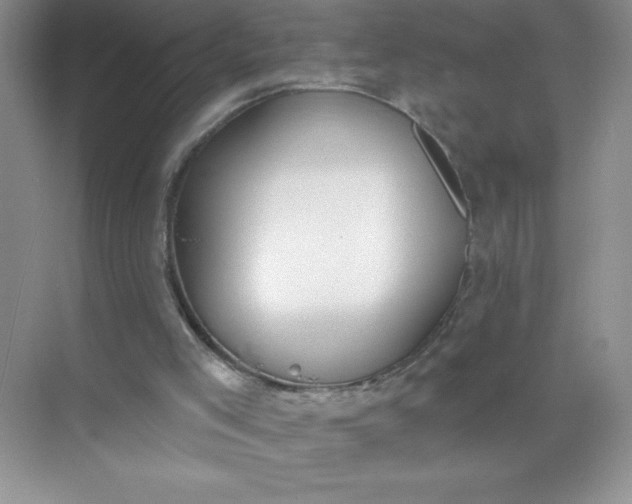 X0000071940005200607212212