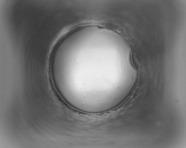 X0000071940006200607212212