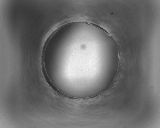 X0000071940007200607212212