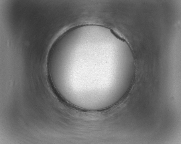 X0000071940008200607212212