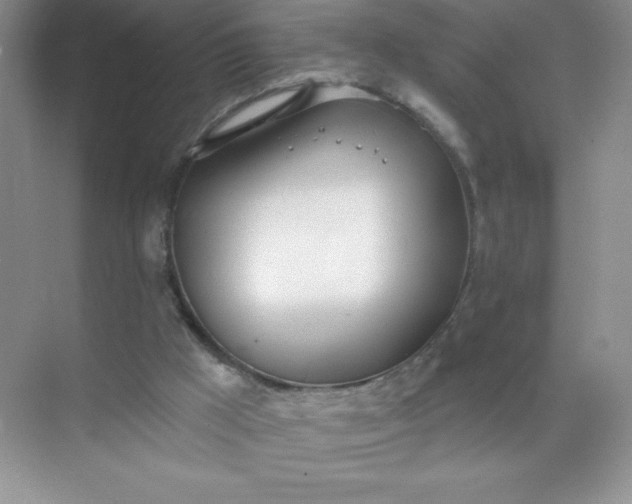 X0000071940009200607212212