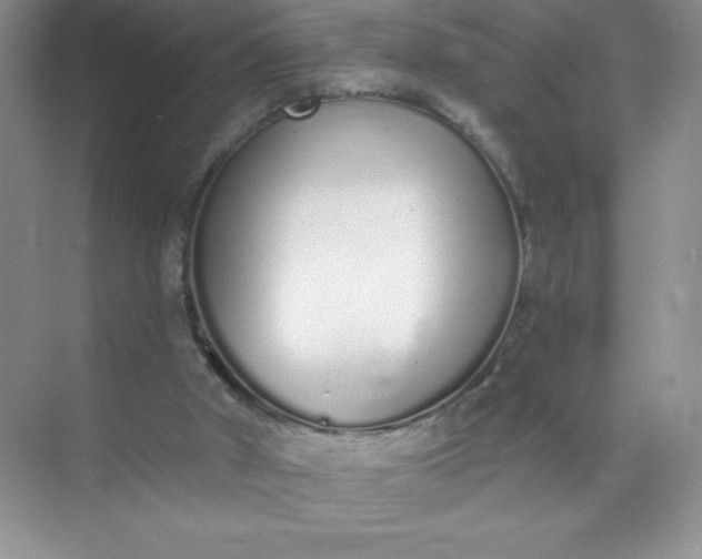 X0000071940010200607212212