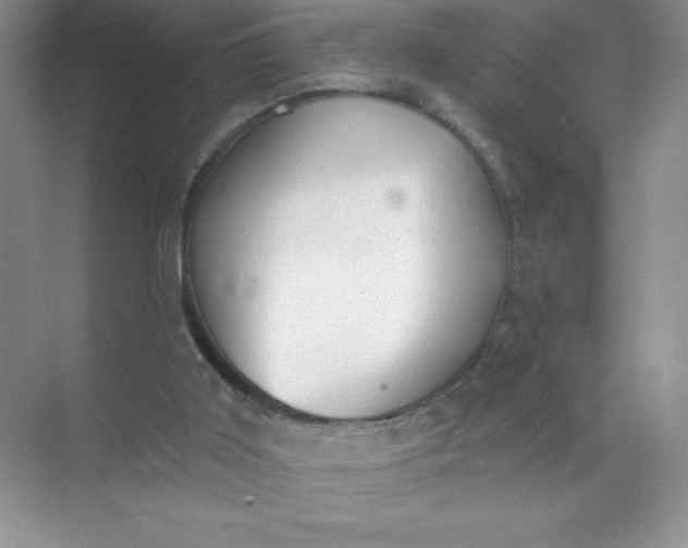 X0000071940011200607212212