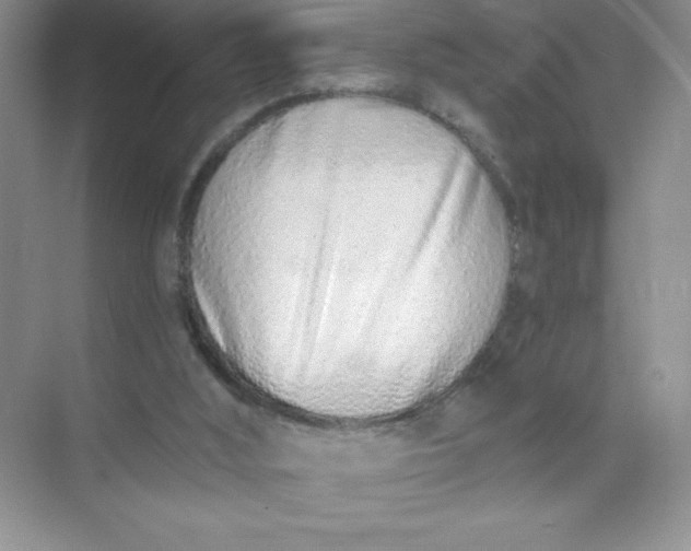 X0000071940012200607212212