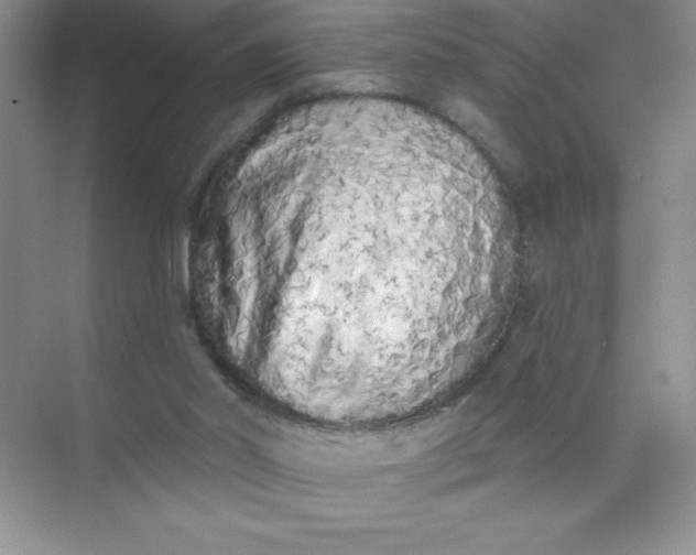 X0000071940014200607212212