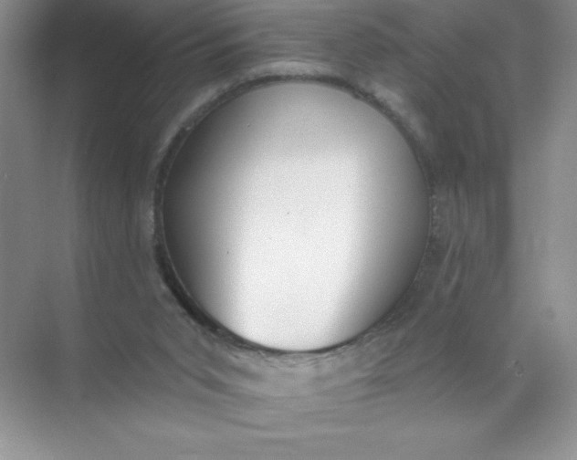 X0000071940015200607212212