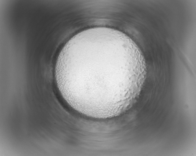 X0000071940016200607212212