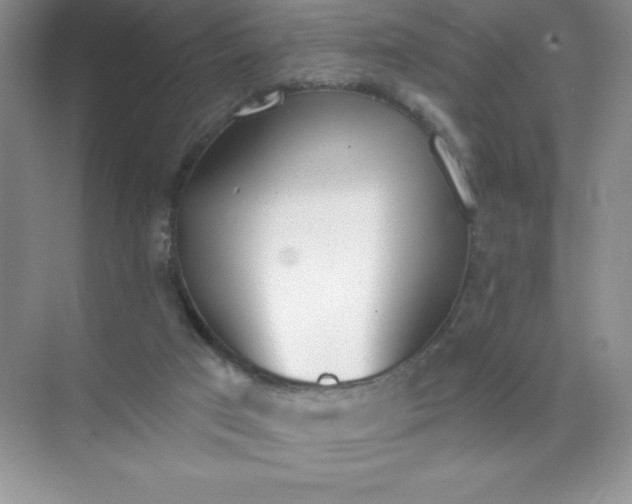 X0000071940017200607212212