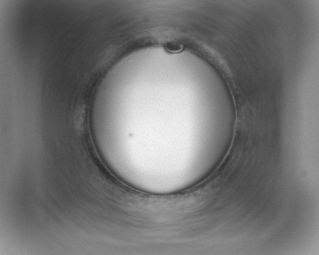 X0000071940018200607212212