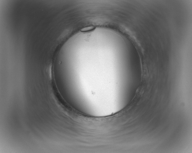 X0000071940019200607212212