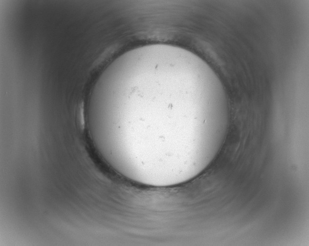 X0000071940020200607212212