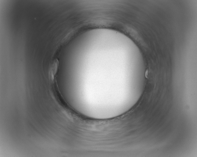 X0000071940021200607212212