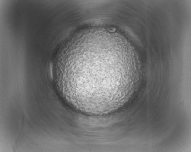 X0000071940022200607212212