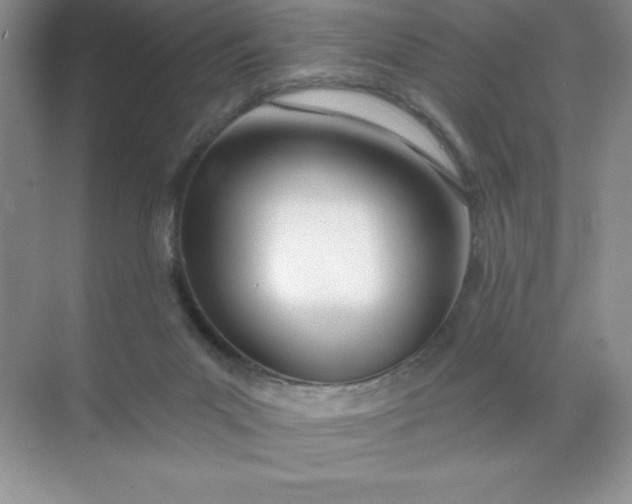 X0000071940023200607212212