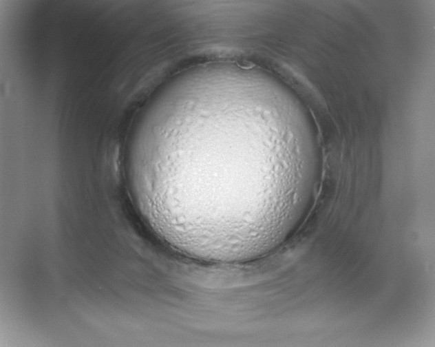 X0000071940024200607212212