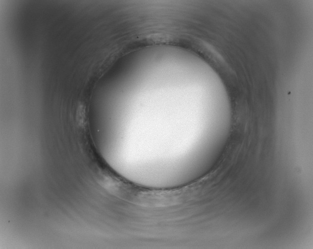 X0000071940025200607212212