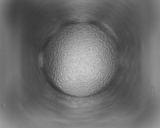 X0000071940026200607212212