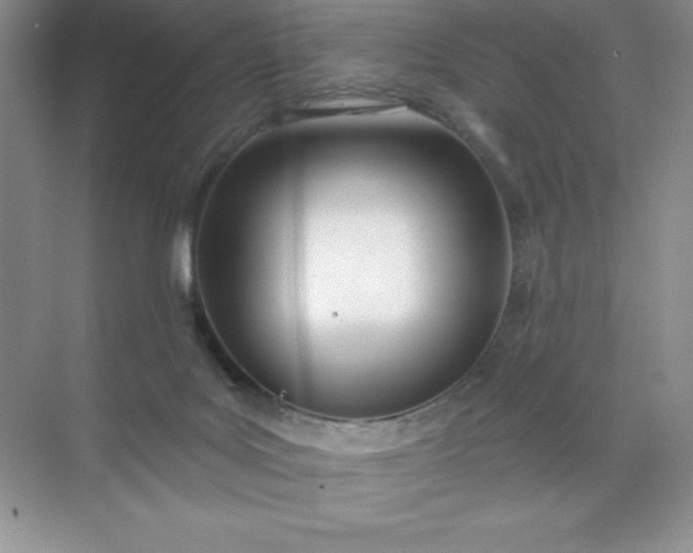 X0000071940027200607212212