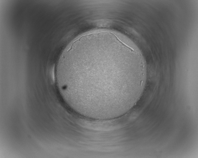 X0000071940028200607212212