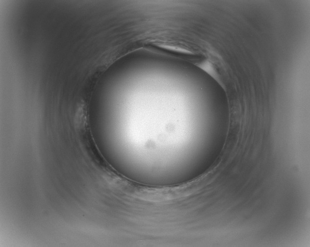 X0000071940029200607212212