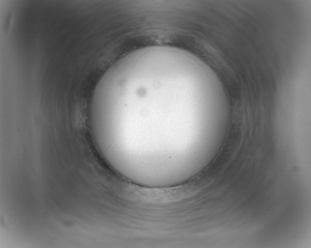 X0000071940030200607212212